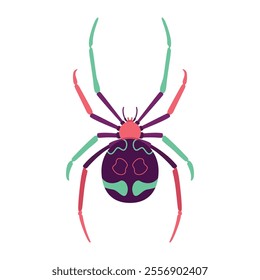 Vector Spider Insect Cartoon Illustration Isolated