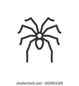 Vector spider line icon. Symbol in trendy outline style. Vector illustration isolated on a white background. 