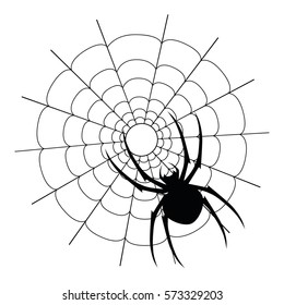 Vector spider on the net on the white background