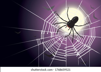 vector spider on the web on dark night background