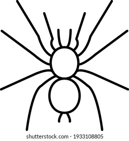 Vector Spider Outline Icon Design
