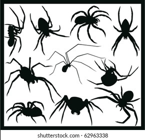 Vector Spider Silhouette Collection