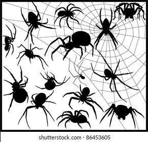 蜘蛛 シルエット High Res Stock Images Shutterstock