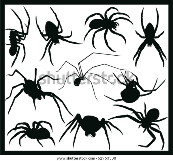 Vector Spider Silhouette Collection Stock Vector (Royalty Free ...