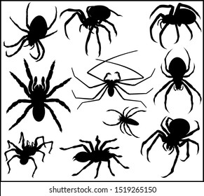 Vector Spider Silhouette illustration Collection 