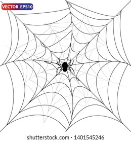 Vector Spider web and black spider on a white background