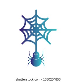 vector spider web icon 
