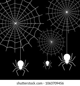Vector of the spider web on black background