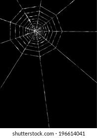 vector of the spider web on black background