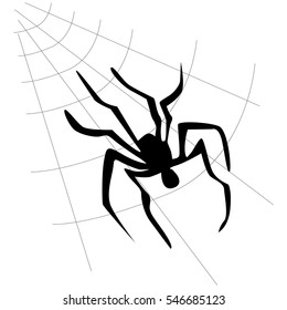 Vector spider web and  spider on a white background.