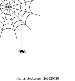 Vector spider web and small spider on a white background.