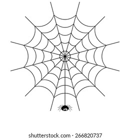 Vector spider web and small spider on a white background.