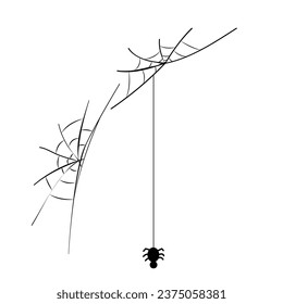 Papel de fondo blanco para telaraña vectorial.