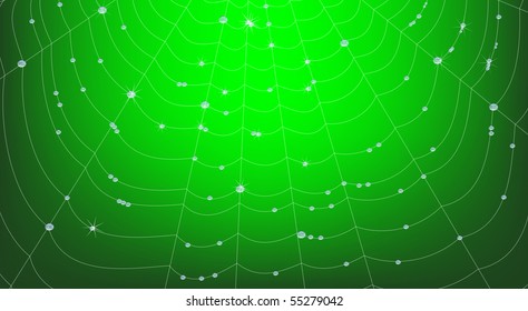 Vector Spider Web with Water Drops