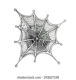 Vector of Spider web in zentangle style  