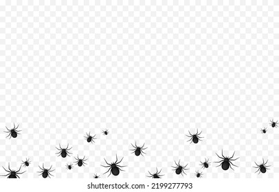 Las arañas vectoriales en un fondo transparente aislado. Fondo con arañas para el diseño. Arañas PNG. Las arañas de Halloween son PNG. Antecedentes de Halloween.