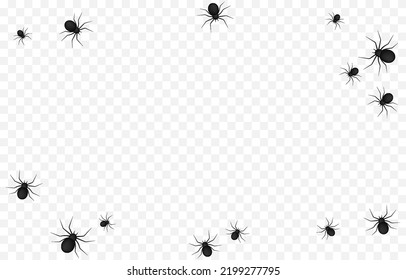 Vector spiders on an isolated transparent background. Background with spiders for design. Spiders PNG. Halloween spiders PNG. Background for Halloween.