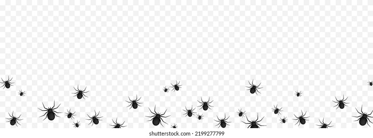 Vector spiders on an isolated transparent background. Background with spiders for design. Spiders PNG. Halloween spiders PNG. Background for Halloween.