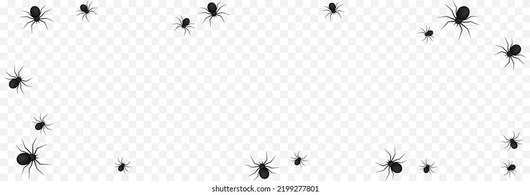 Vector spiders on an isolated transparent background. Background with spiders for design. Spiders PNG. Halloween spiders PNG. Background for Halloween.