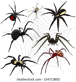 Vector of spiders set on white background