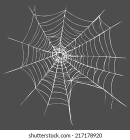 Vector Spider's Web on Dark Gray Background