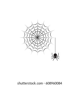 Vector Spider's Web on White Background