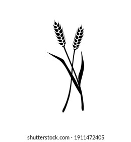 Vector Spikelet isolated on white background. Spica plant. Wheat, rice, rye ear, symbol of farming, bread, harvest.