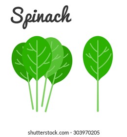 Vector Spinach