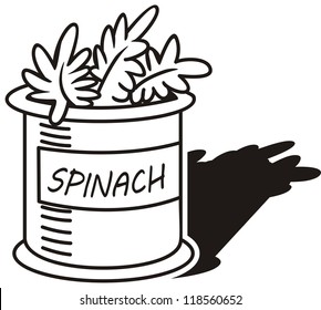 vector spinach on white background