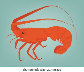 Vector spiny lobster or rock lobster on simple background