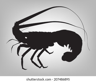 Vector spiny lobster or rock lobster silhouette on simple grey background