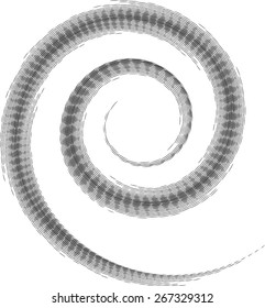 Vector Spiral Logo Design Template .