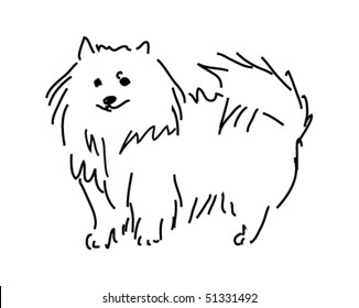 vector spitz dog sketch