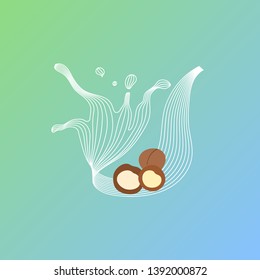 Vector splash of macadamia milk with nuts. Vegan alternative organic milk splash pour . Non dairy drink. Isolated transparent illustration. Healthy food, diet and nutrition concept
