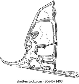 vector - deporte de los dinosaurios de windsurf aislados en el fondo