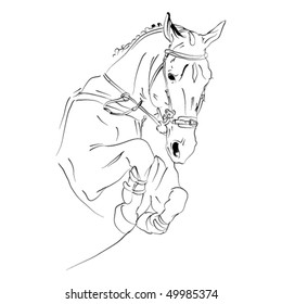 vector sports horse