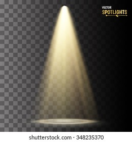 Vector spotlight. Light effect