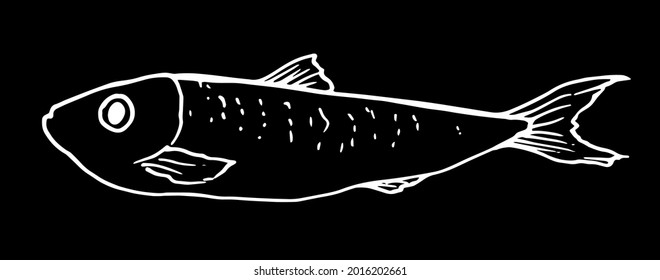 vector sprat. graphics of a stylized fish of a small sprat with dots on the back, made in the style of a sketch. The seafood menu includes sardines and sprats isolated with a white outline on a black 