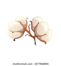 Vector sprig of cotton. Natural, eco-friendly material. Flat illustration isolated on white background
