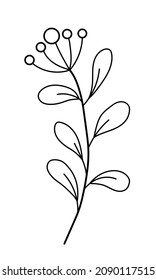 Vector sprig with leaves and berries in a minimalist style. Sprig isolated on white background. Floral elements. Hand-drawn botany. Vector elements for textile design and typography