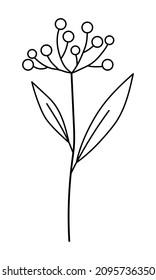 Vector sprig with leaves and berries in a minimalist style. Sprig isolated on white background. Floral elements. Hand-drawn botany. Vector elements for textile design and typography