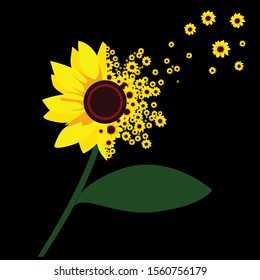
vector sprig of sunflowers with a very pretty black background