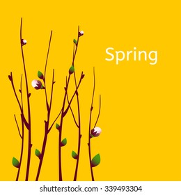 Vector spring  apricot blossoming branch on bright yellow background