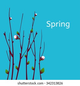 Vector spring  apricot blossoming branch on bright yellow background