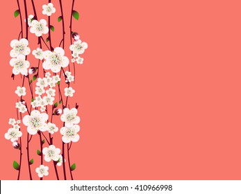 Vector spring  apricot blossoming branch on bright pink background