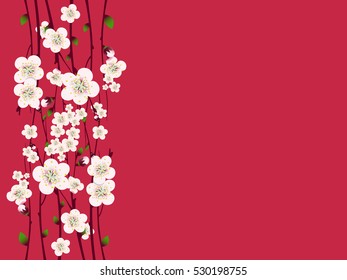 Vector spring  apricot blossoming branch on bright pink background