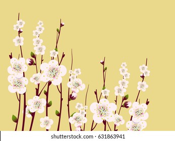 Vector Spring  apricot blossoming branch on bright background