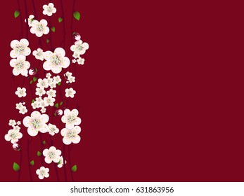 Vector Spring  apricot blossoming branch on bright background