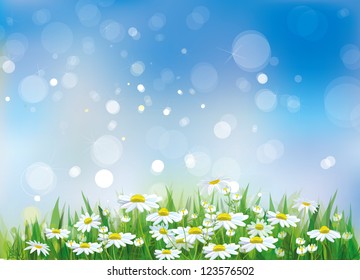 Vector of spring background