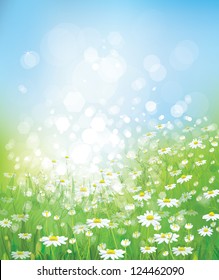 Vector of spring background